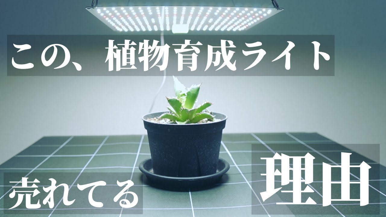 2024年最新】初心者にオススメの安い植物育成用LEDパネルライト「BRIM