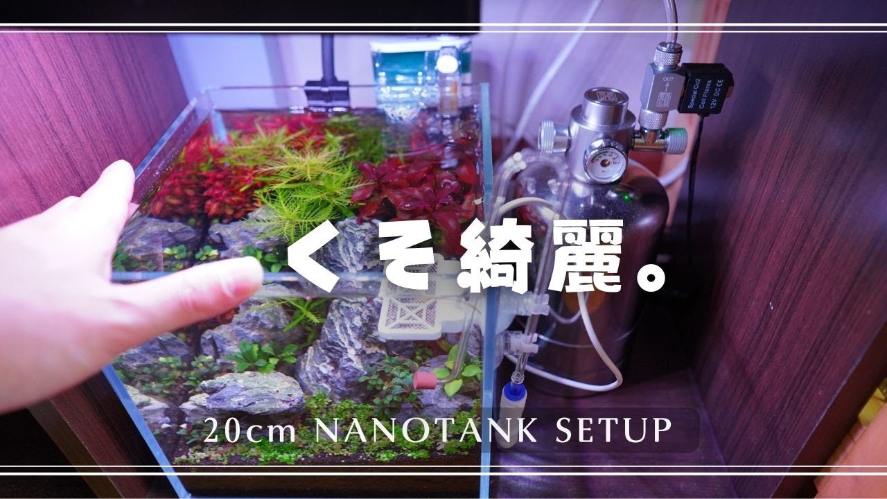 崩壊しかけの水草水槽を復活させる方法〜水景リフォーム大作戦【 その