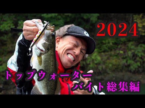Chest114】2024年トップウォーターバイトコレクション - YouTube