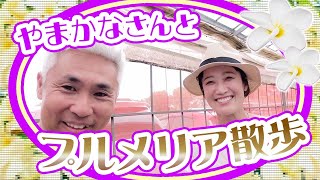 やまかなさん 初めてのプルメリアを選んでみた！ - YouTube