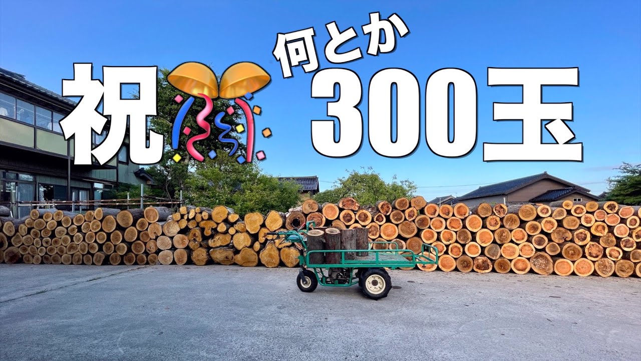 すずめ杉 丸太 6点 すずめ杉 丸太 6点 すずめ杉 丸太 6点 すずめ杉