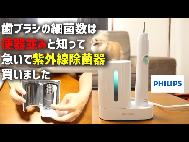 便器で歯みがきしてた・・・。UV除菌ライトで電動歯ブラシを99%除菌