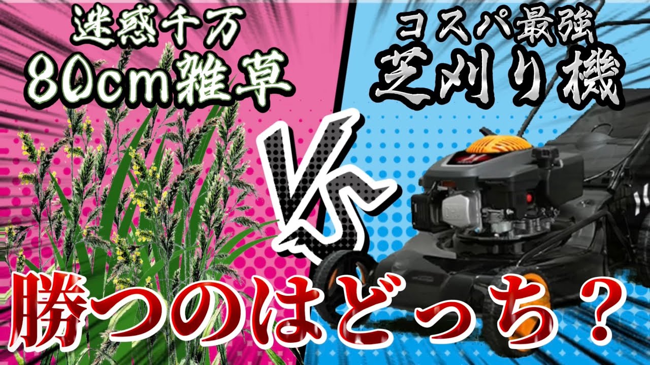 The best value lawnmower takes on 80cm weeds! Which one will win