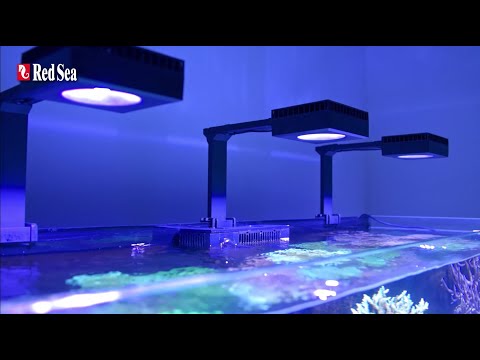 レッドシーのReefLED™－スマート・リーフライティング - YouTube