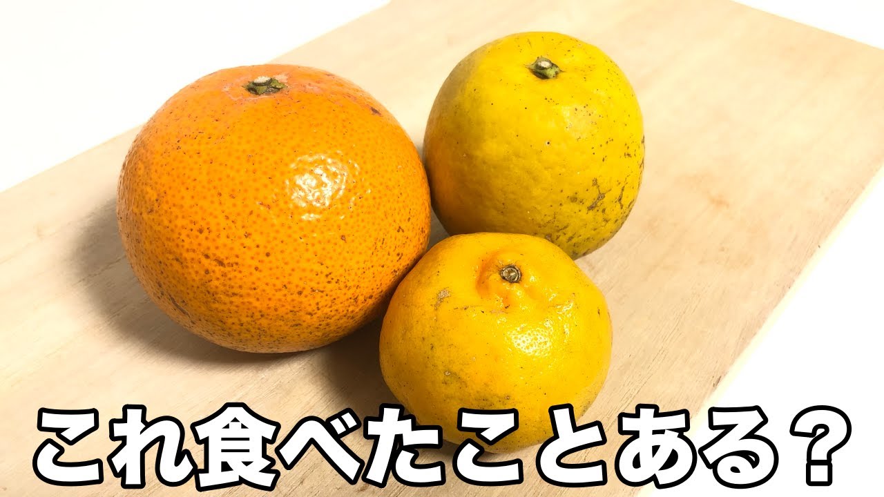 Rare oranges] Three kinds of citrus food repo! 