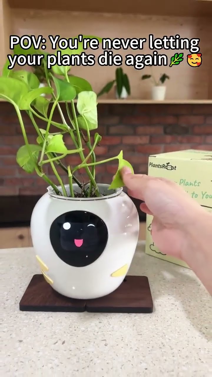 shorts #love #plantsrobot - YouTube