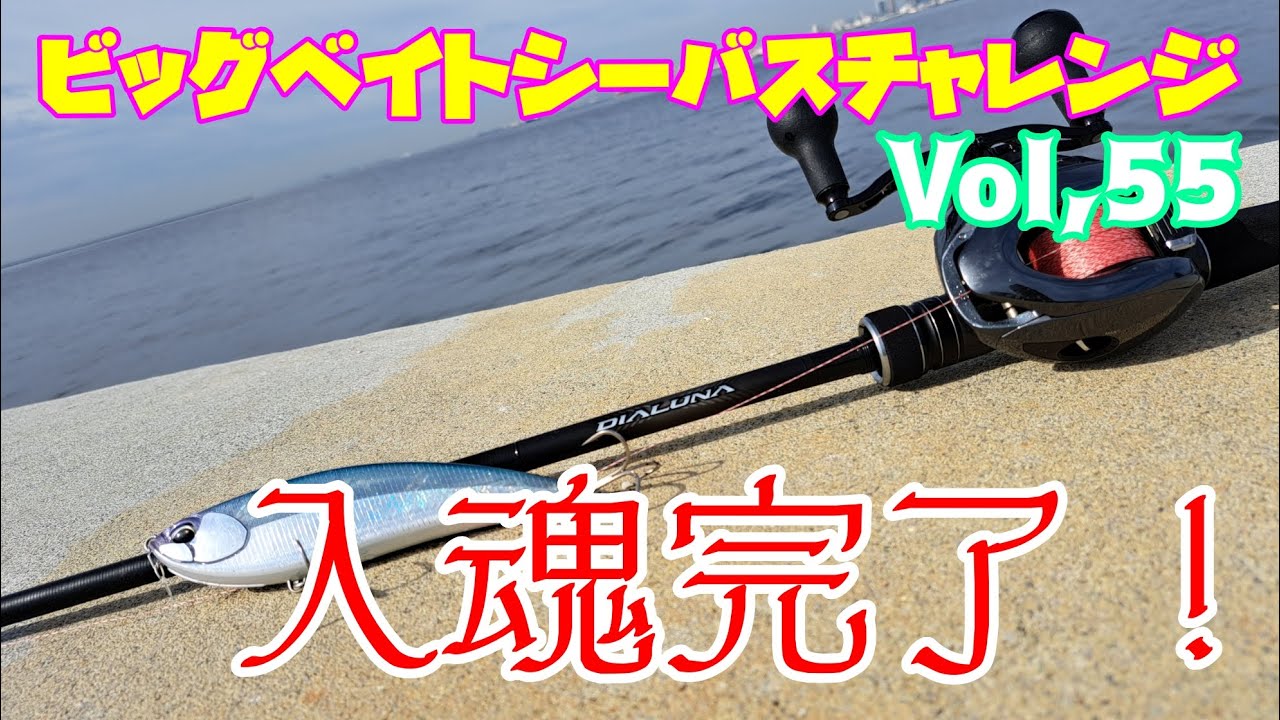 Big Bait Sea Bass Challenge Vol. 55] I cast it with the DIALUNA