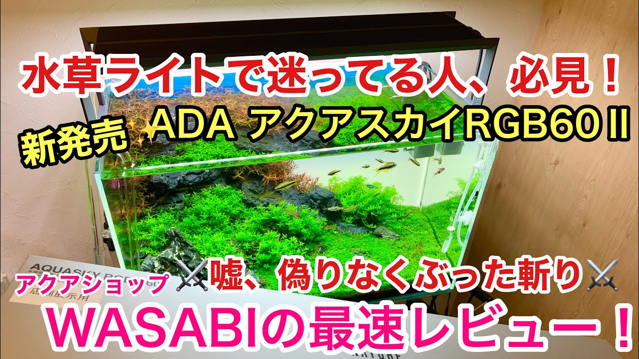 発売前に徹底レビュー！「ADAアクアスカイRGB60Ⅱ、2023年7月