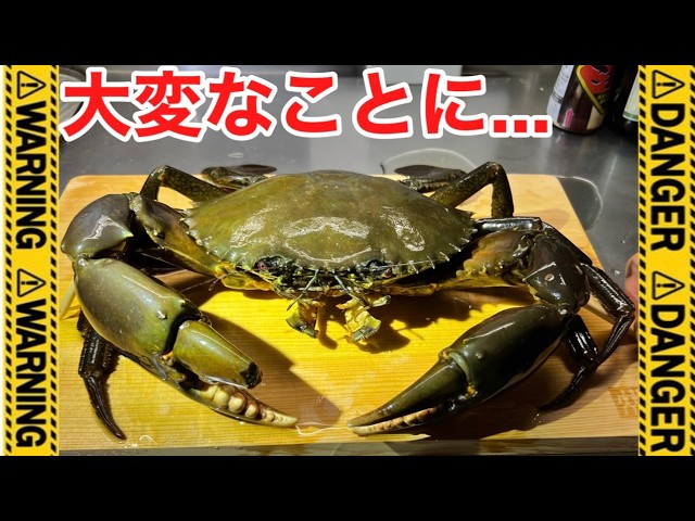 Illegal fishing by foreigners] A huge outbreak of giant sawtooth