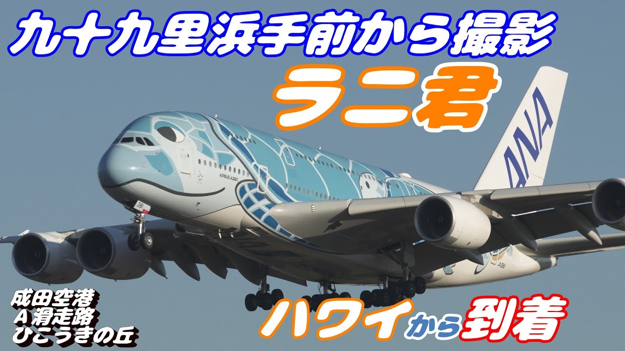 4K】成田空港 ひこうきの丘 ANA超巨大旅客機エアバスA380 ラニ君