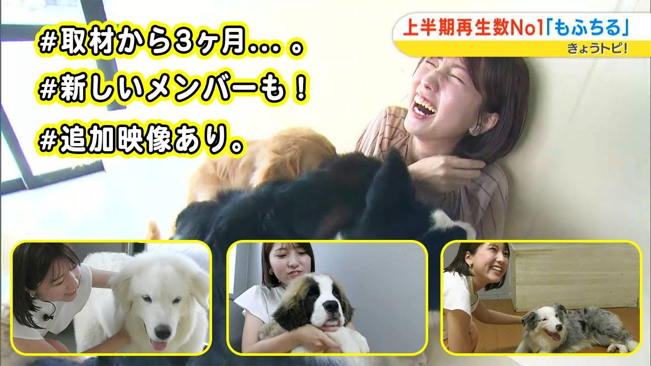 取材から3ヶ月。新しいメンバーも増えてました！思わずニンマリ、犬