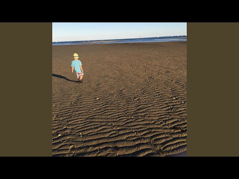 プレイリスト - YouTube