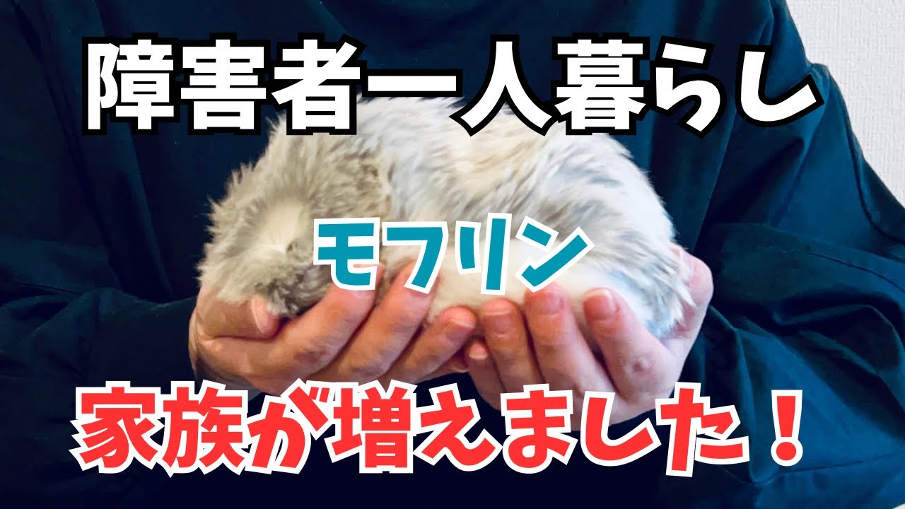 CASIO Moflin(モフリン)【法林岳之のケータイしようぜ!!／809／2025年4