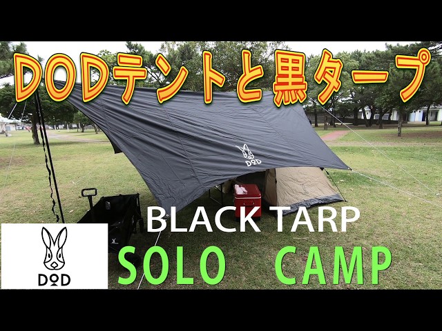 DODのテントと黒タープでソロキャンプ ＃テント ＃キャンプ ＃dod