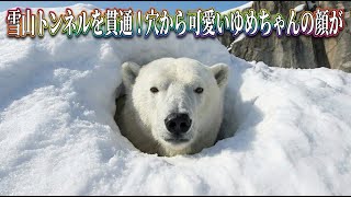 Penetrating a snowy mountain tunnel! Cute Yume-chan's face appears