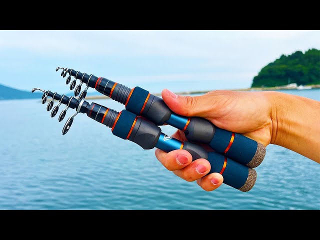 未使用】ビセオ テレショーティー SE 55MLT + タイニーベイト セット