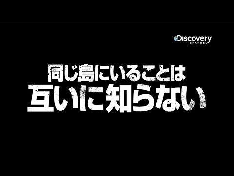THE ISLAND シーズン3」ディスカバリーチャンネル - YouTube