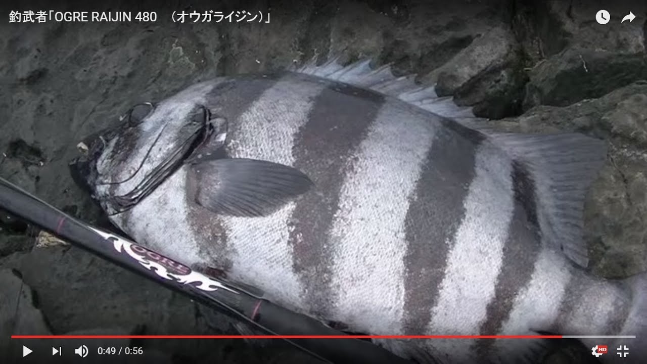 釣武者「OGRE RAIJIN 480 （オウガライジン）」 - YouTube