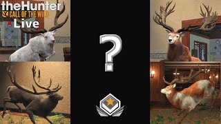 バウンティーハンターグレートワン アメリカグマのグレートワンを探