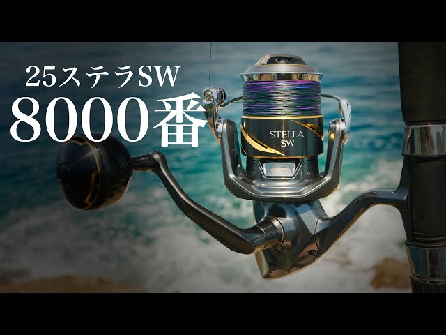 19SHIMANO STELLA SW 8000HG お値下げ依頼価格本日まで シマノ ステラ