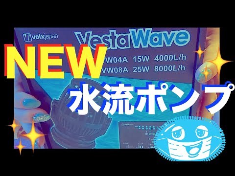 Volks Japan❗️Vesta Wave❗️I bought a new water flow pump✨my
