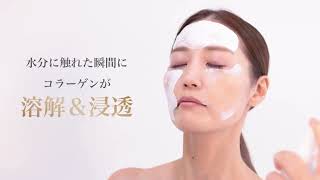 消える フェイスパック シート プレミアム コラーゲン フィルム【頬用