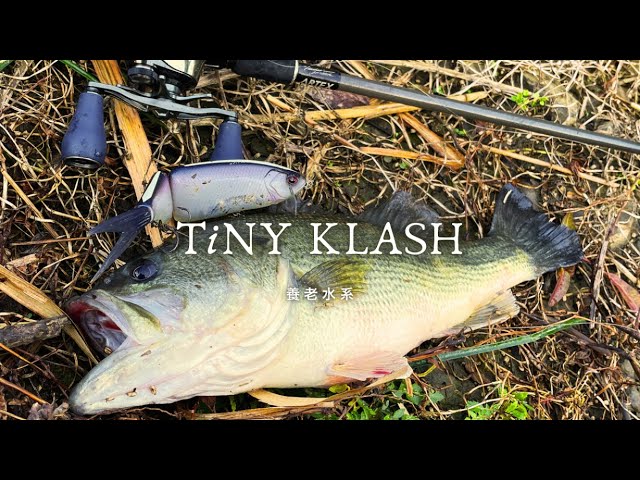 DRT】TiNY KLASH / タイニークラッシュ Low（ProBlue） - YouTube