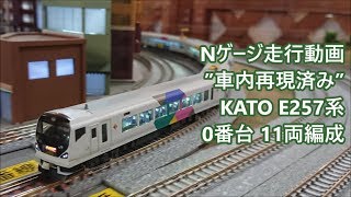 車内再現&室内灯入り!】Nゲージ KATO E257系0番台「あずさ・かいじ
