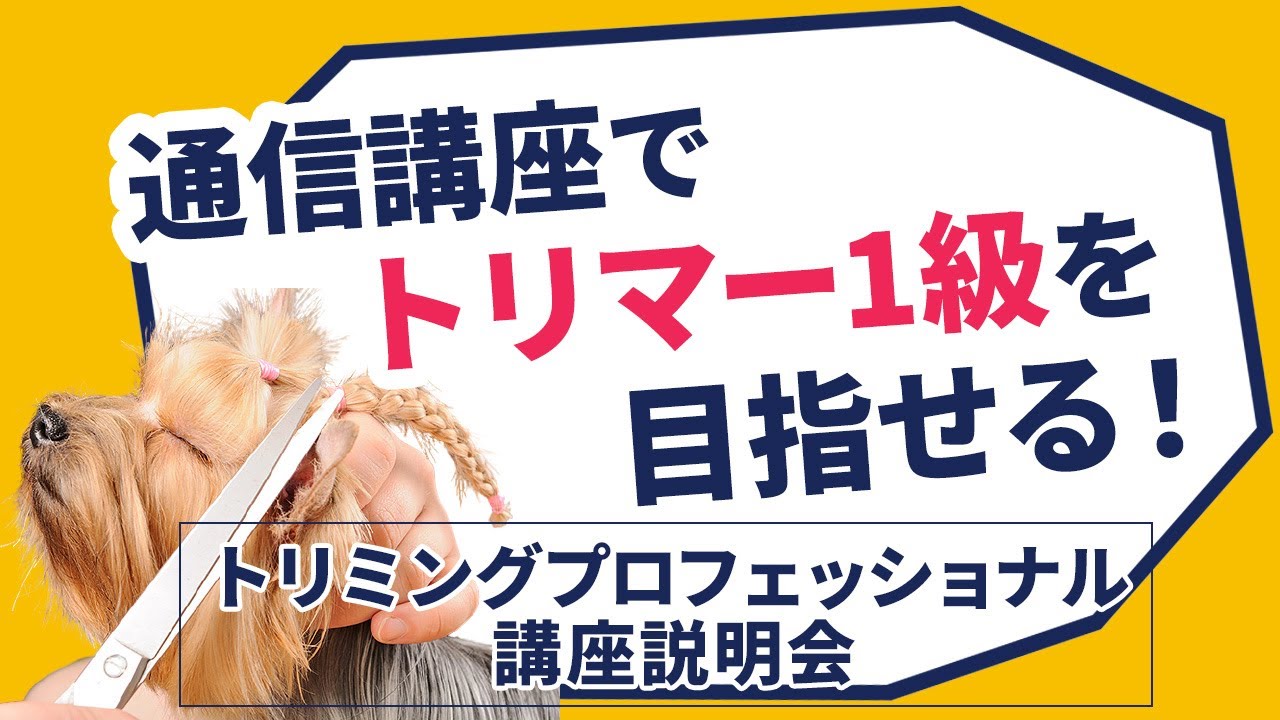 トリミングプロフェッショナル講座セット トリミング