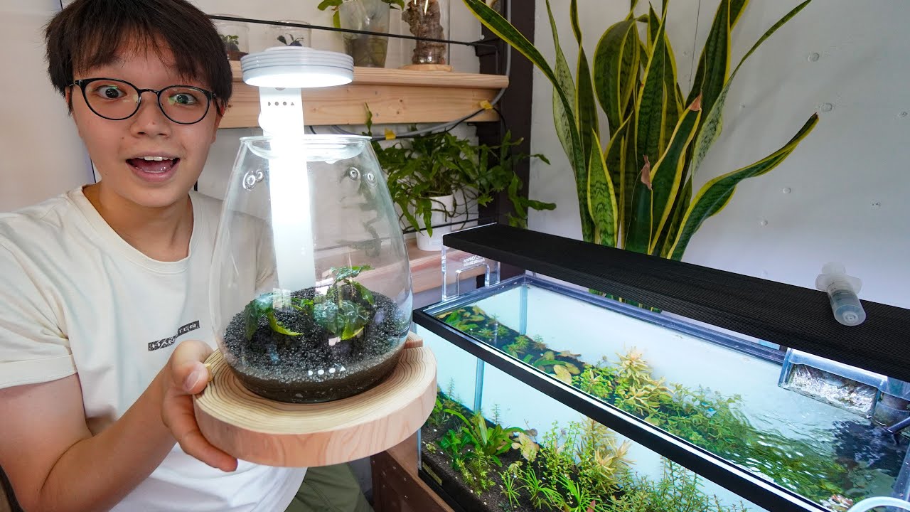 ADA DOOA NEW製品 GLASS POT SHIZUKU のご紹介 AquaRevue Neo CH