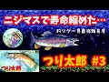 つり太郎】♯3～釣りゲー界最強難易度！？ニジマスで寿命縮めた…初見
