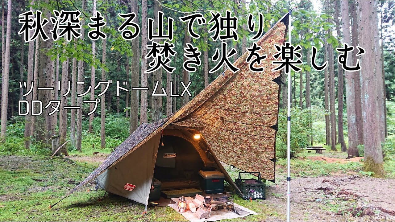 ソロキャンプ】どうしても焚き火がしたくて秋の山に来ました