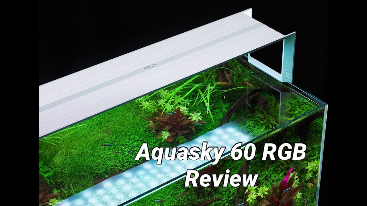 ADA AQUASKY 60 RGB Review - YouTube