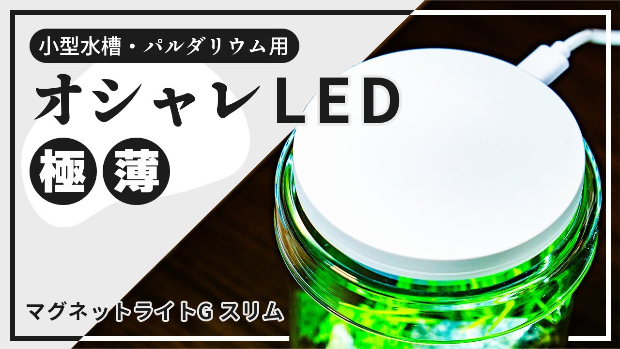 商品紹介】DOOAマグネットライトG スリム - YouTube