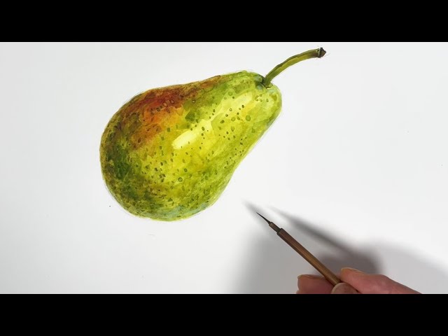 Watercolor Sketch 173/Pear 水彩スケッチ173/洋梨 - YouTube