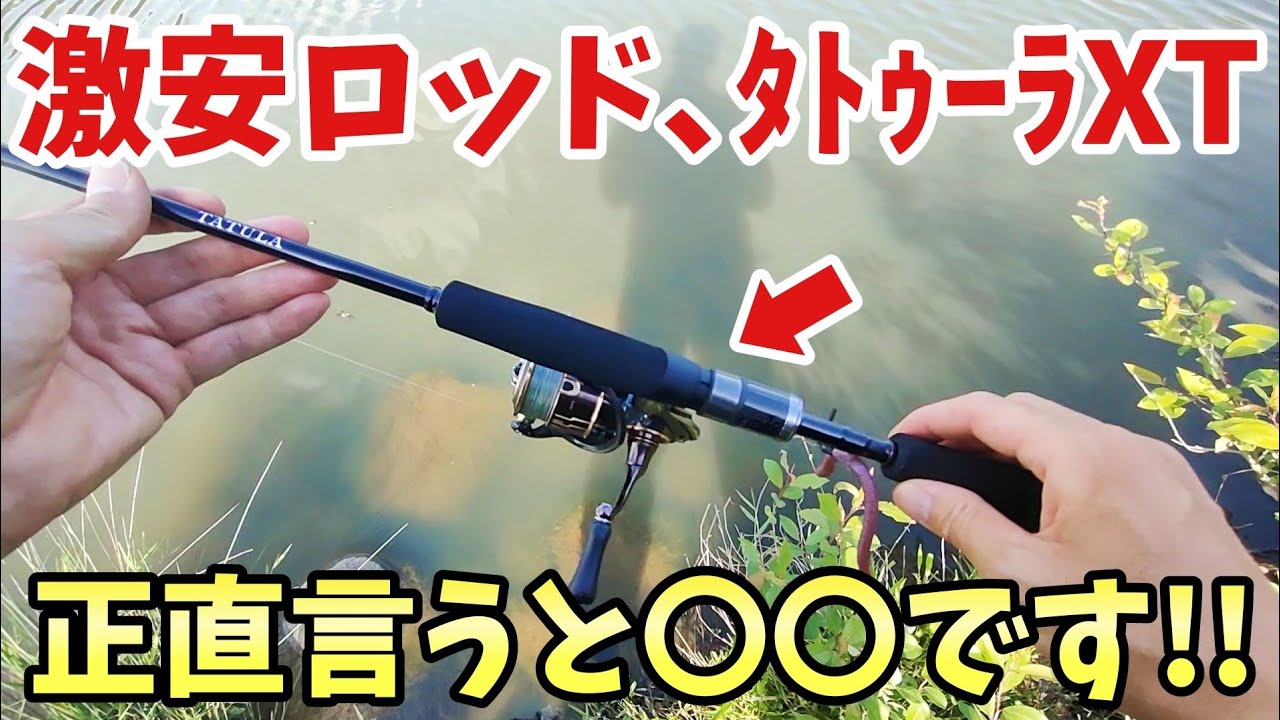 激安ロッド、タトゥーラXT購入したので初期インプレ😆【バス釣り