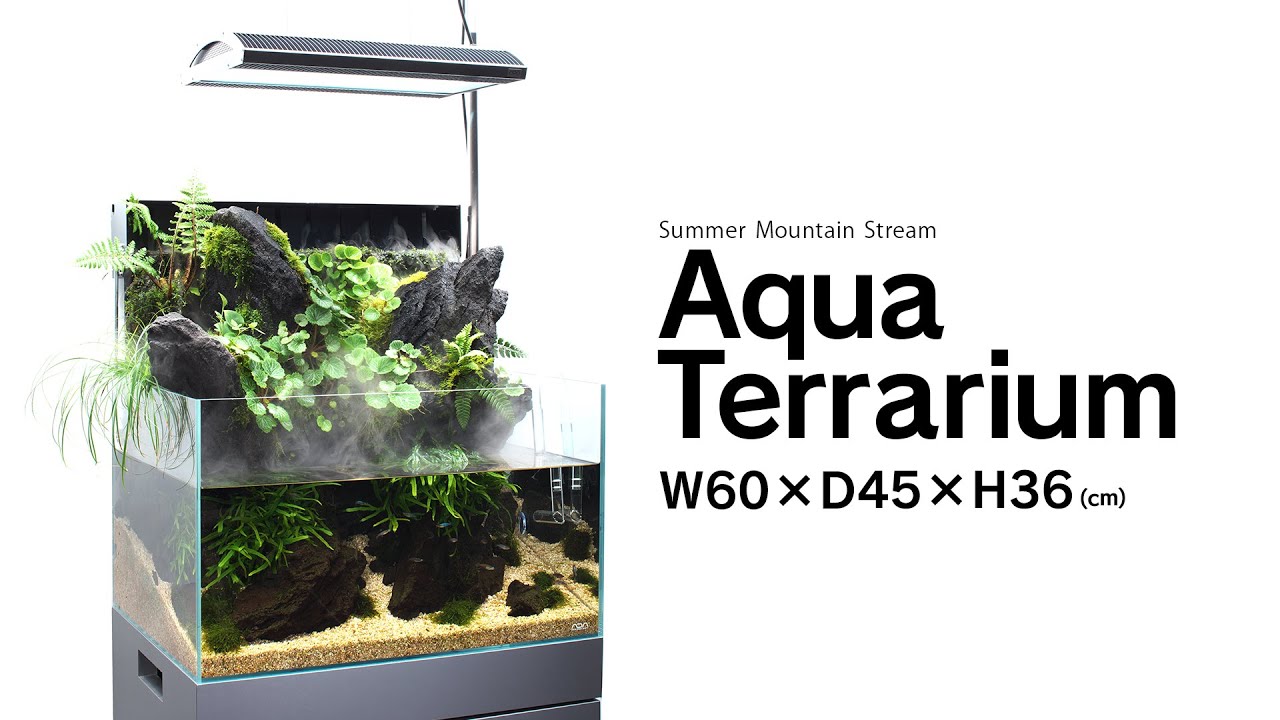 ADAview] Summer Mountain Stream 夏の渓流 - Aqua Terrarium