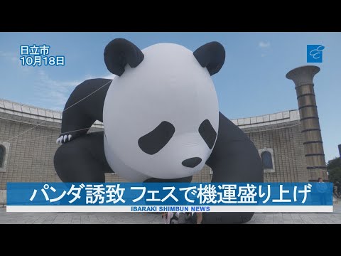 パンダ誘致 フェスで機運盛り上げ 日立で「第3回パンダフェス」 - YouTube