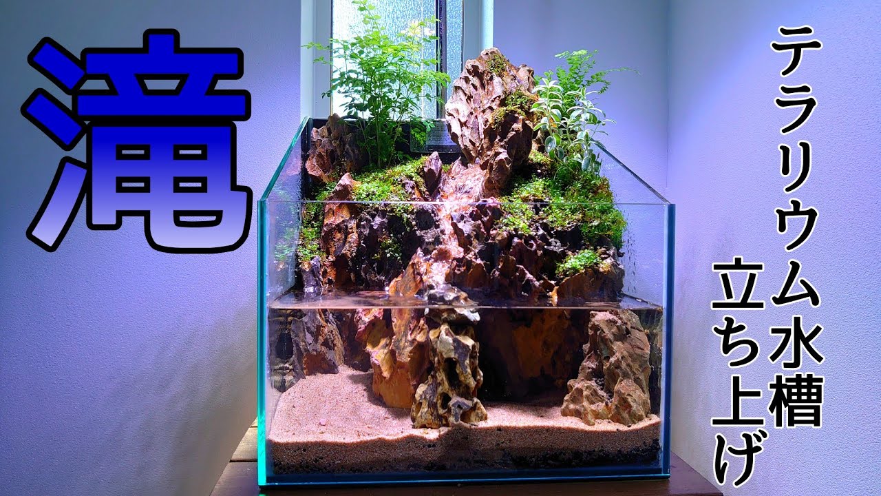 I want to make an aquarium with a waterfall【Aquarium】 - YouTube