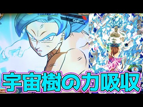 BM12-SEC】孫悟空(SSGSS•宇宙樹パワー)を使ってみた！【スーパー