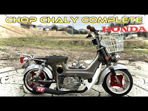 Shallie is finally finished!? It looks amazing! - YouTube