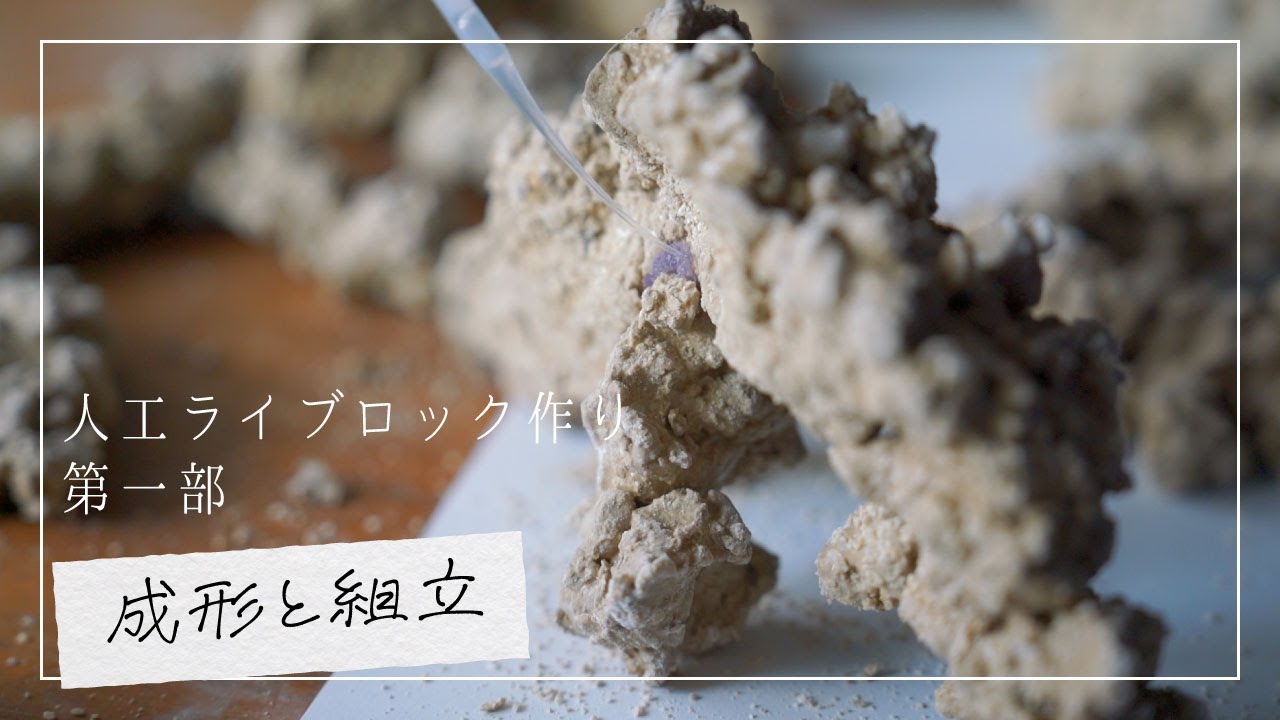 人工ライブロック RR73 アク抜き済み安心塗料使用 人工ライブロック