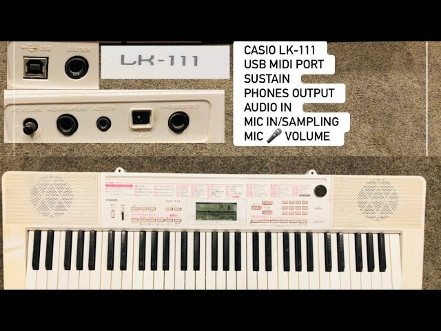 Casio LK-111 Keyboard 🎹 ( Wilson's music instruments 03371476660