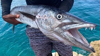 GIANT BARRACUDA CATCH & COOK ON THE ROCKS - YouTube