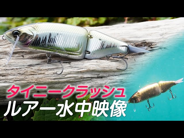 TINY KLASH ゴールド ビッグベイト TINY KLASH ゴールド ビッグベイト