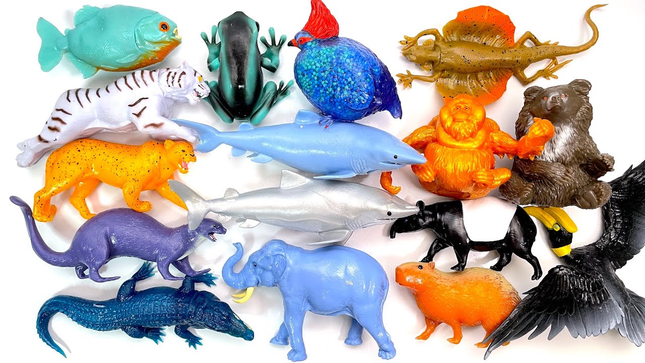 Unboxing the Jungle & Co. Complete Set! [DeAGOSTINI] - YouTube