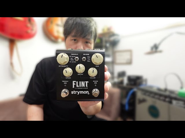ラーメンさん専用 Strymon FLINT ラーメンさん専用 Strymon FLINT