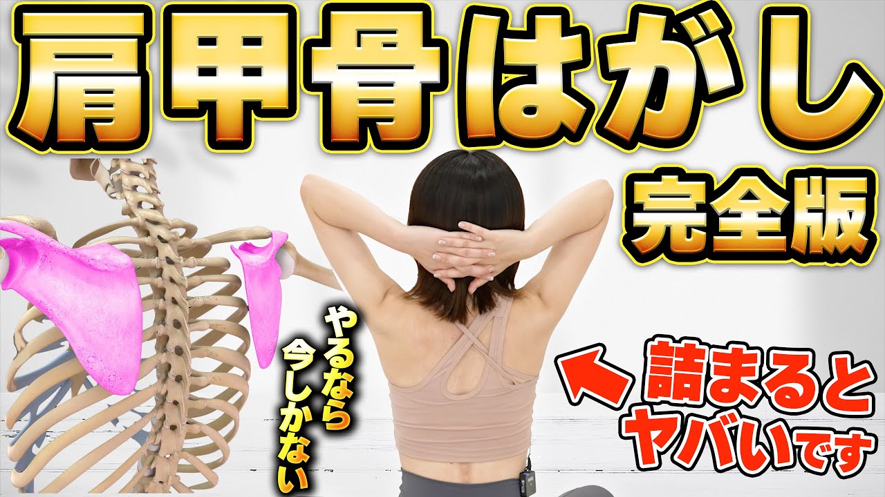 2023 Complete Edition] For those with stiff shoulder blades! The