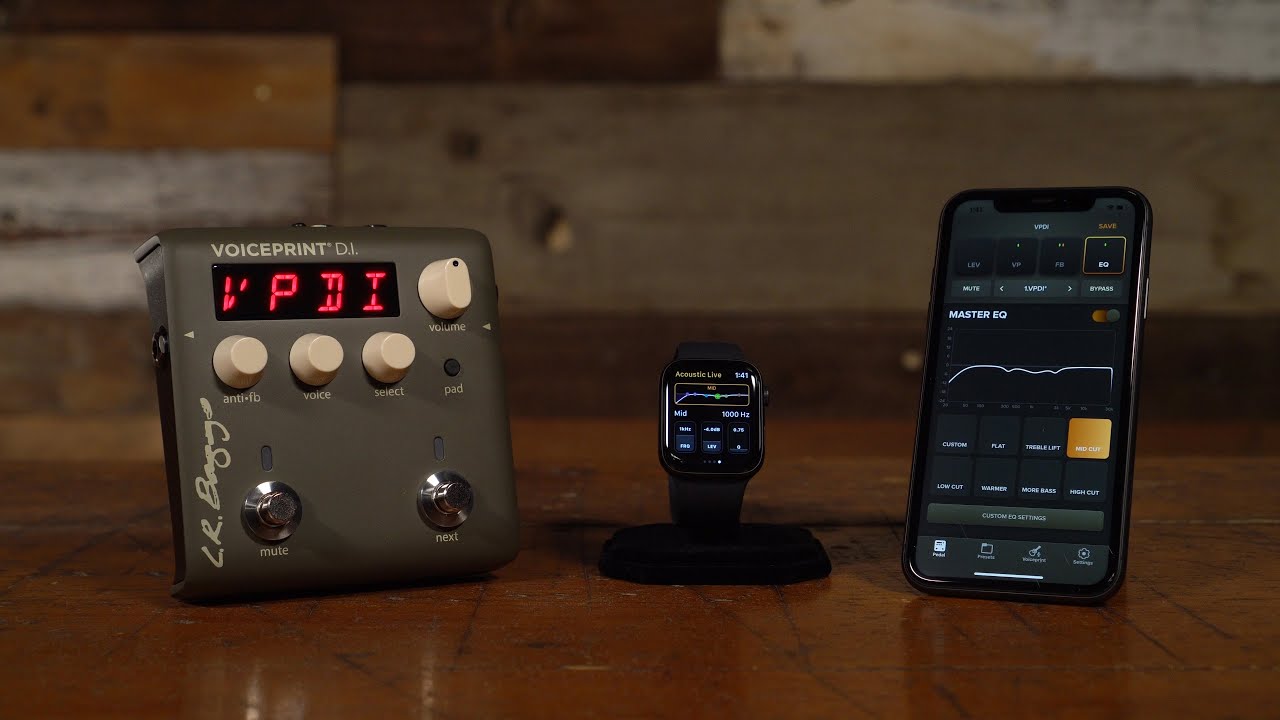 Voiceprint DI Acoustic Guitar Impulse Response Pedal — LR Baggs