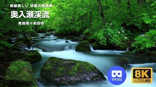 奥入瀬渓流｜新緑・紅葉・氷瀑を巡る四季の絶景トレイル – 青森県